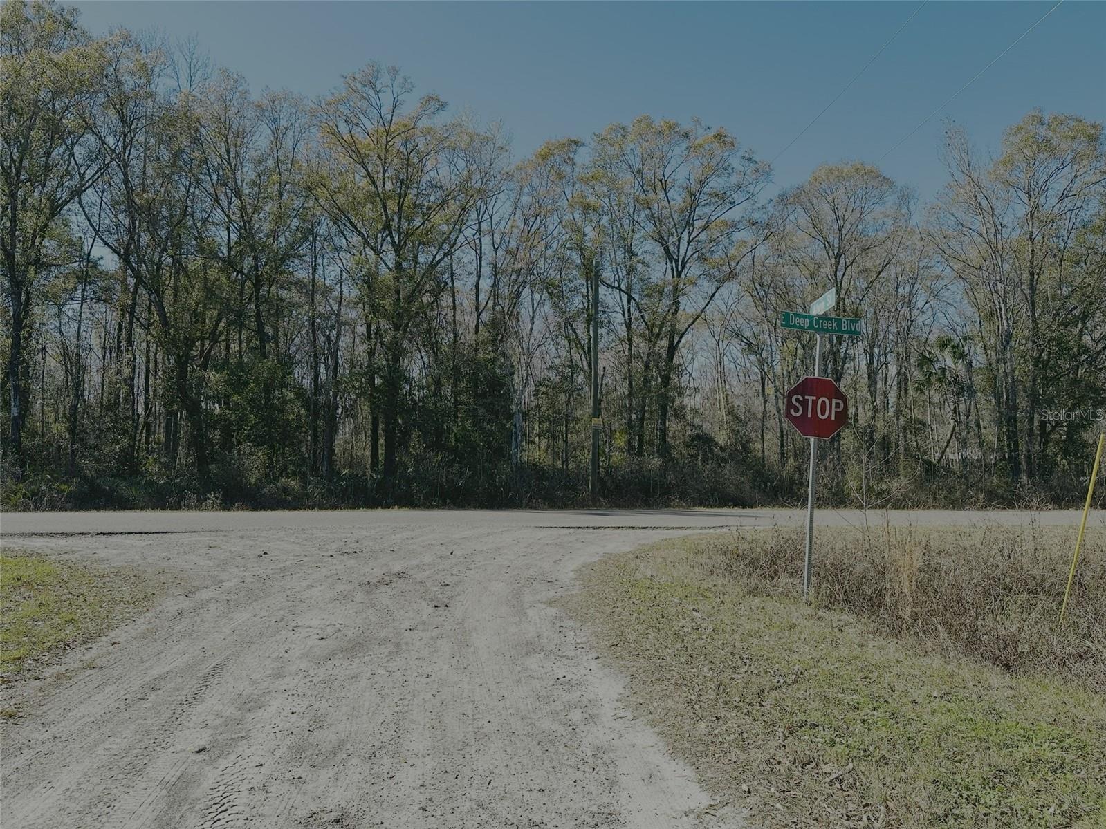 FLAGLER ESTATES UNPLATTED UNIT 3 - Land
