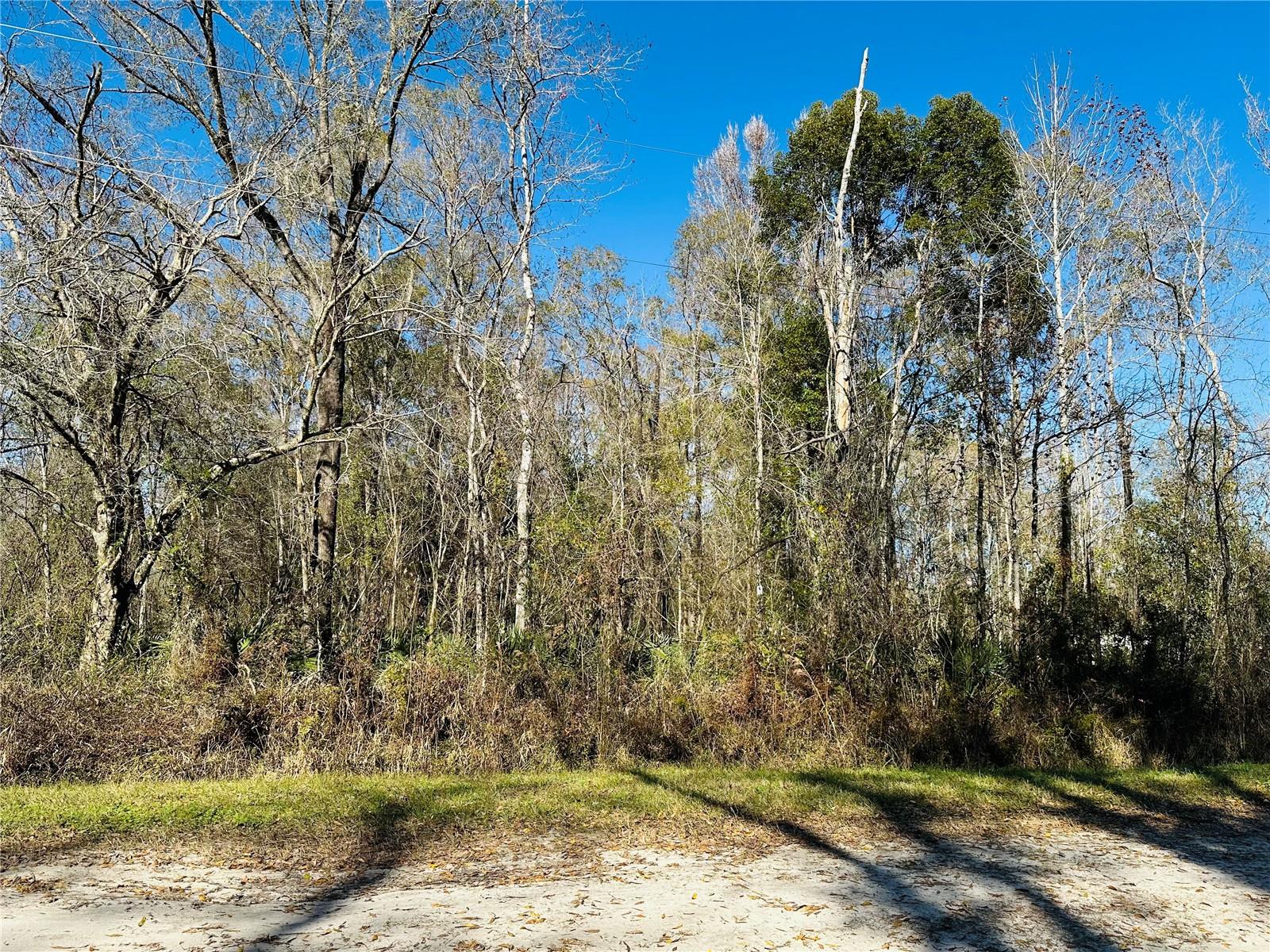 FLAGLER ESTATES UNPLATTED UNIT 3 - Land