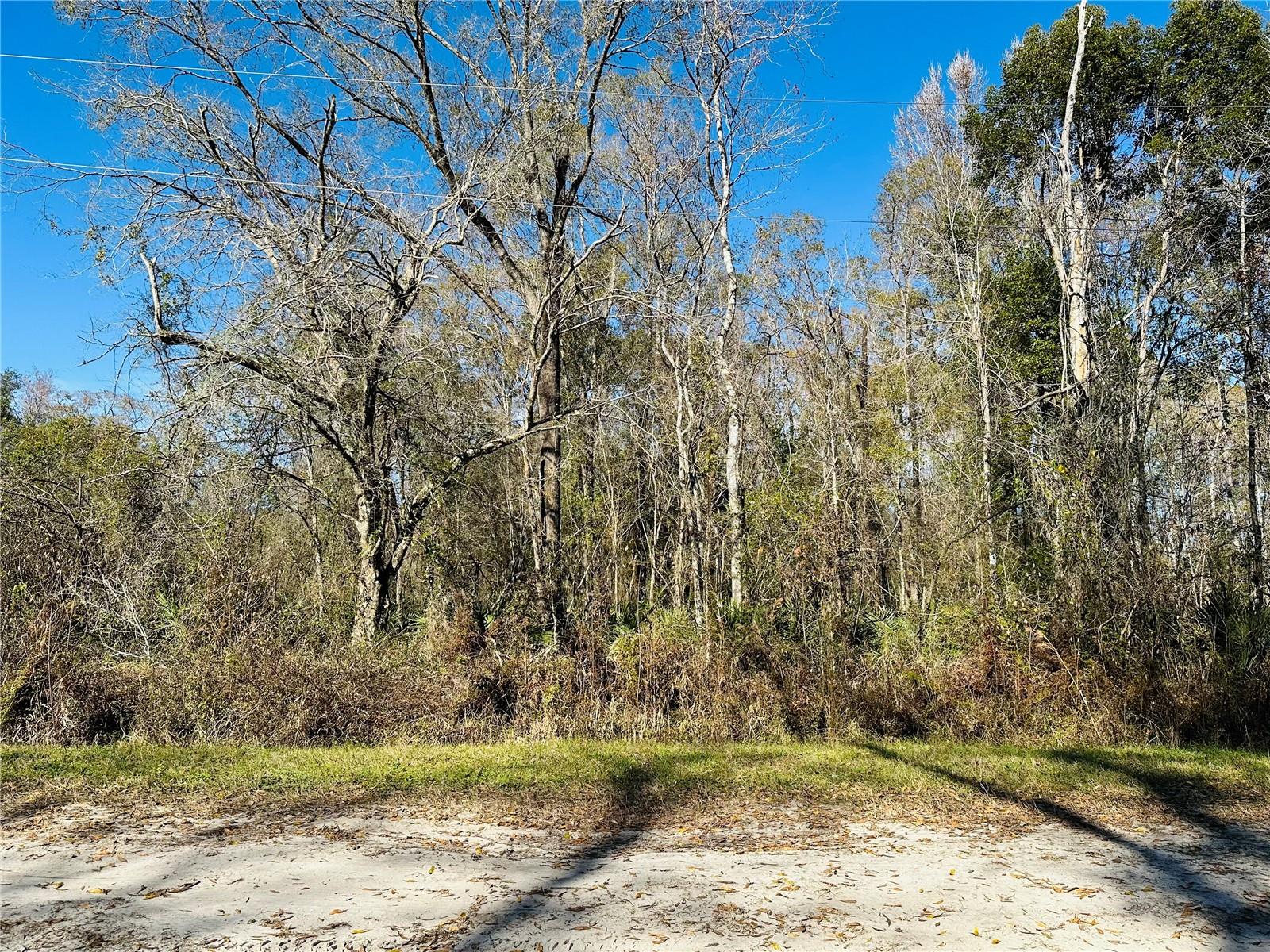 FLAGLER ESTATES UNPLATTED UNIT 3 - Land