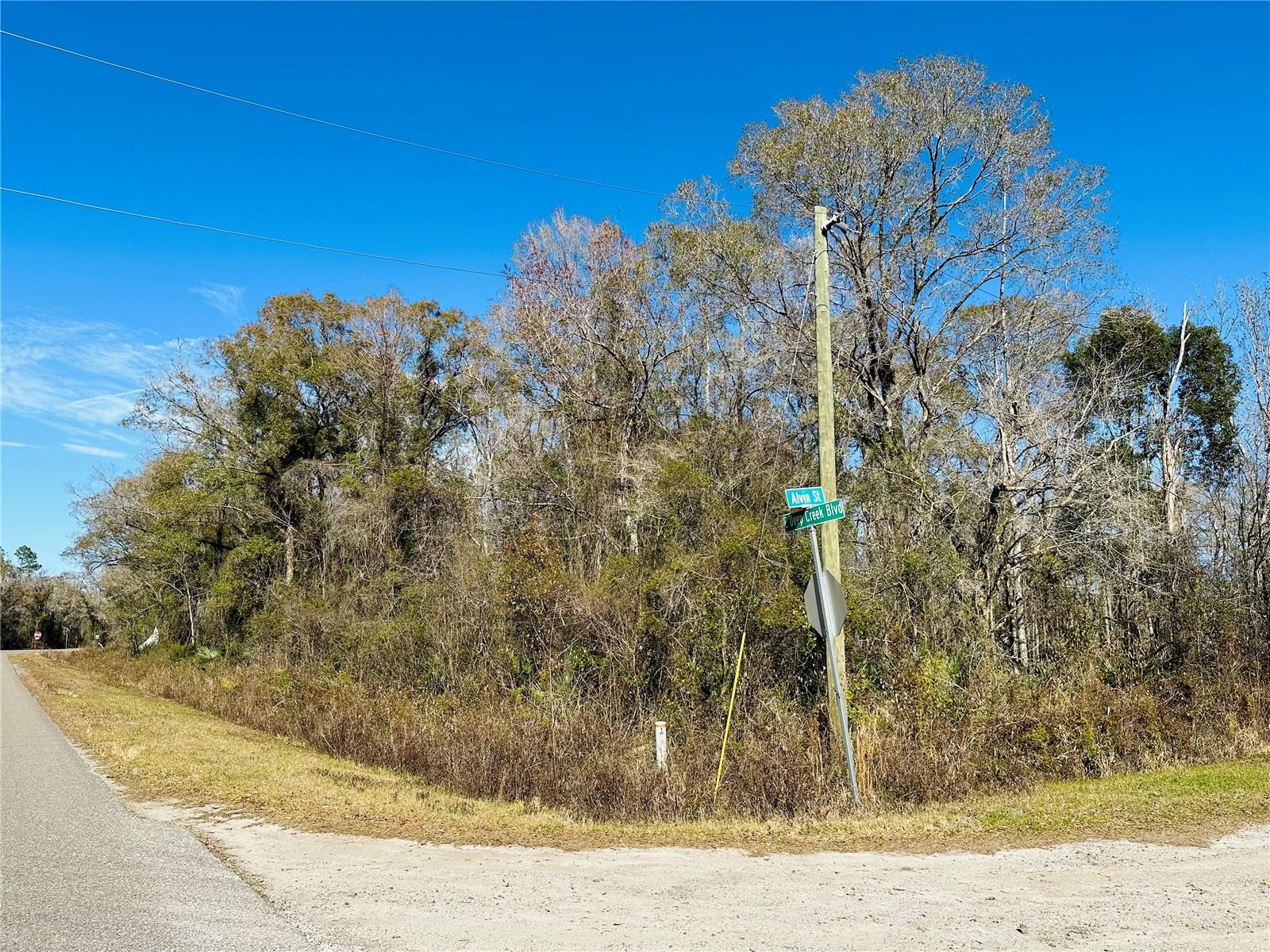 FLAGLER ESTATES UNPLATTED UNIT 3 - Land