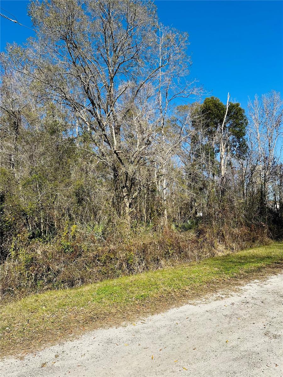FLAGLER ESTATES UNPLATTED UNIT 3 - Land