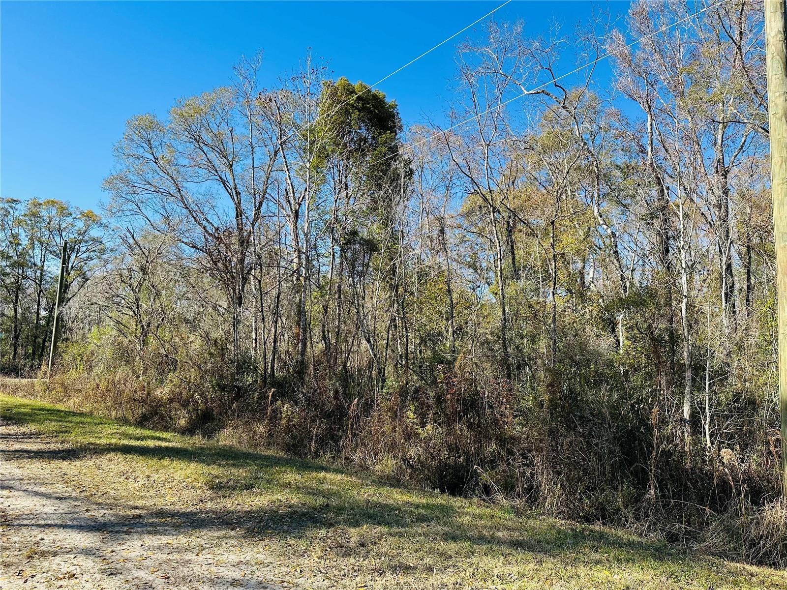 FLAGLER ESTATES UNPLATTED UNIT 3 - Land