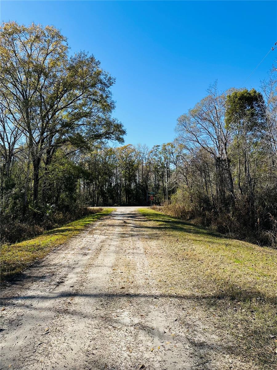 FLAGLER ESTATES UNPLATTED UNIT 3 - Land