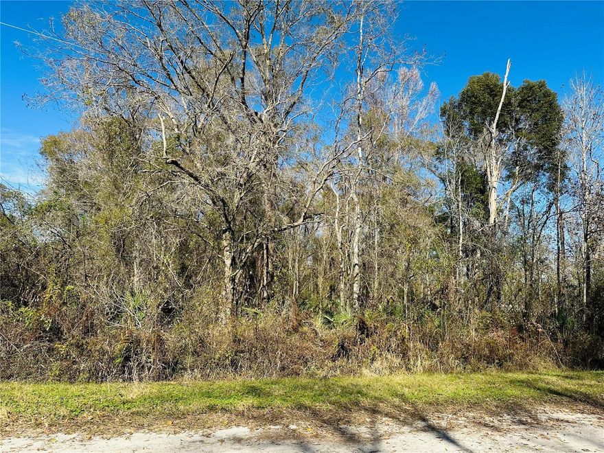 Corner Lot for Sale!
?? 4790 Alvin Street, Hastings, FL 32145

Don't miss this 0.86-acre corner lot in the peaceful town of Hastings, Florida! With 125 feet of frontage and 300 feet of depth, this spacious lot is perfect for those looking to grow a garden, plant fruit trees, or even keep chickens or ducks for Deep Creek River.

Zoned Open Residential (OR), this property offers flexibility for various uses, whether you want to build your dream home or enjoy a quiet country lifestyle.
? NO HOA, NO CDD, and NO TIME RESTRICTIONS to build your dream home in this growing city!

Enjoy the best of both worlds-serene living with nearby conveniences! Located close to St. Augustine, Palatka, County Line Fresh Produce, and just a 20-minute drive to Palm Coast.

This lot is priced to sell and presents a fantastic investment opportunity.
?? Take a drive today-you won’t want to miss it!