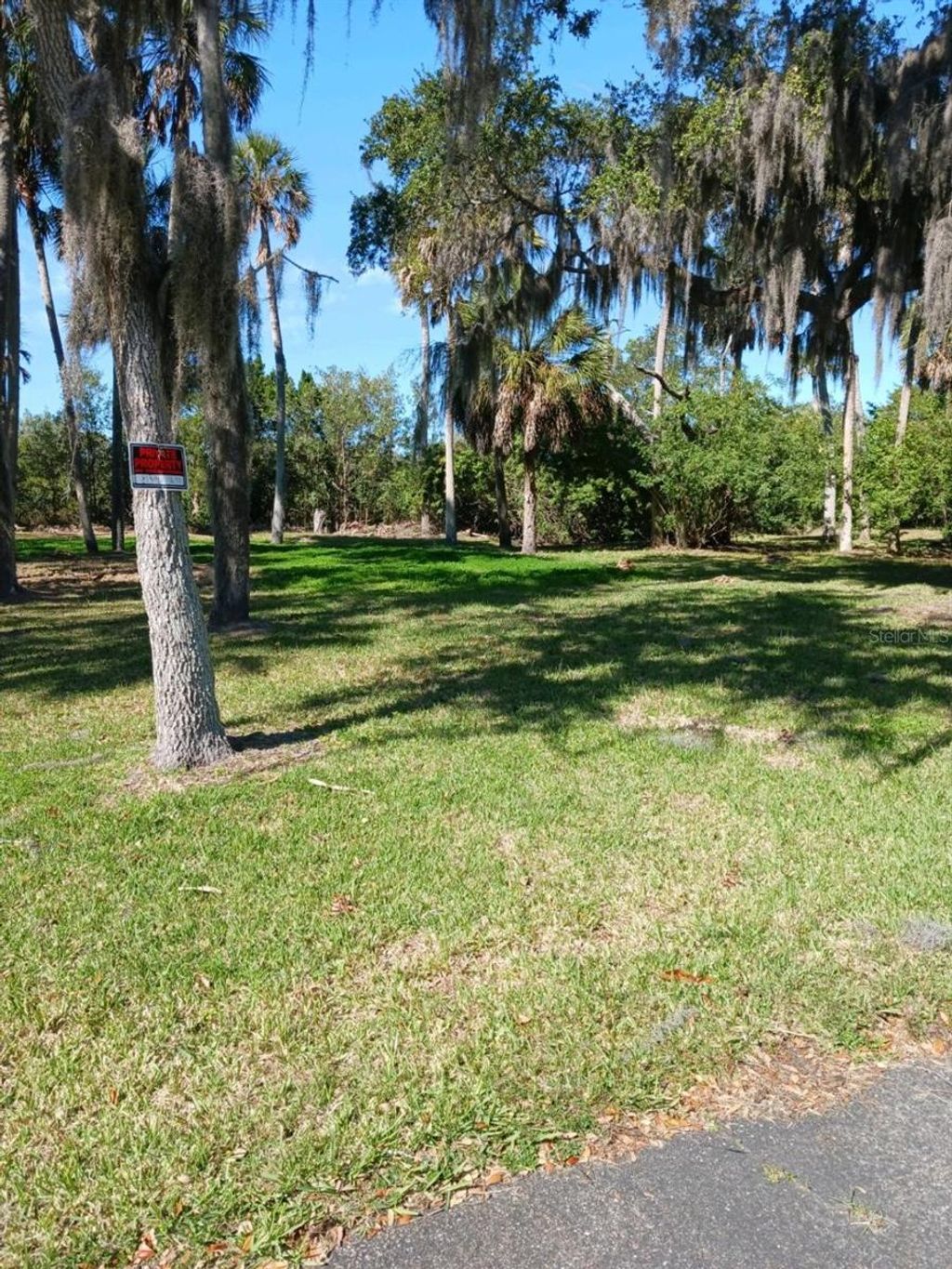 Photo of 5353 Tropical Woods Court, Port Richey, FL 34668 (MLS # U8188789)