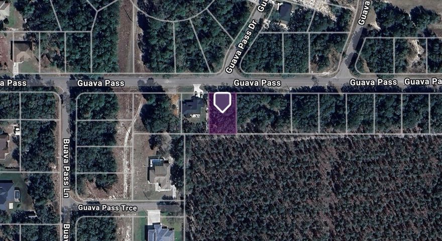 Build-ready residential lot in Silver Springs Shores, zoned R1 for single-family homes. This .24-acre parcel offers an easy, rectangular layout with approx. 85 ft of frontage and 125 ft depth, ideal for a standard site-built home. Located on a quiet paved street with nearby newer construction, making it attractive for builders or first-time buyers planning to build. Flood Zone X, no flood insurance required. Neighboring address for reference is 36 Guava Pass. The rear of the property backs up to approximately 1,200 acres, offering added privacy.

Parcel ID: 9038-1246-27