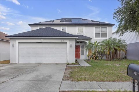10337 RIVER BREAM DRIVE RIVERVIEW FL 33569