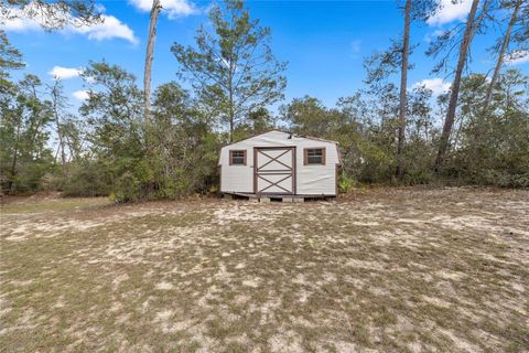 Tiny photo for 4559 W Dunklin Street, Citrus Springs, FL 34433 (MLS # TB8484572)