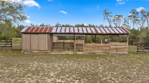 Tiny photo for 4559 W Dunklin Street, Citrus Springs, FL 34433 (MLS # TB8484572)