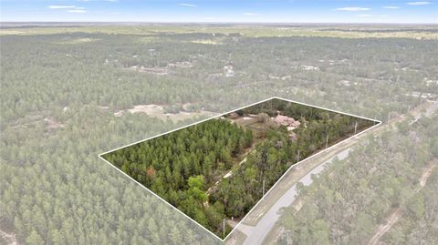 Tiny photo for 4559 W Dunklin Street, Citrus Springs, FL 34433 (MLS # TB8484572)