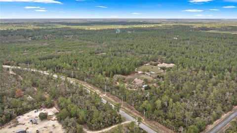 Tiny photo for 4559 W Dunklin Street, Citrus Springs, FL 34433 (MLS # TB8484572)