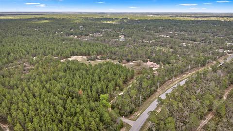 Tiny photo for 4559 W Dunklin Street, Citrus Springs, FL 34433 (MLS # TB8484572)