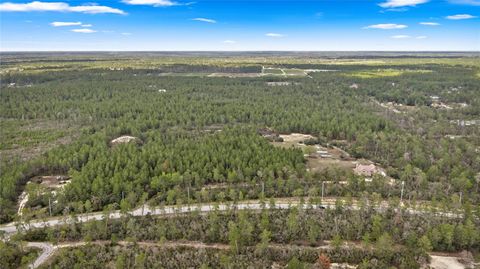 Tiny photo for 4559 W Dunklin Street, Citrus Springs, FL 34433 (MLS # TB8484572)