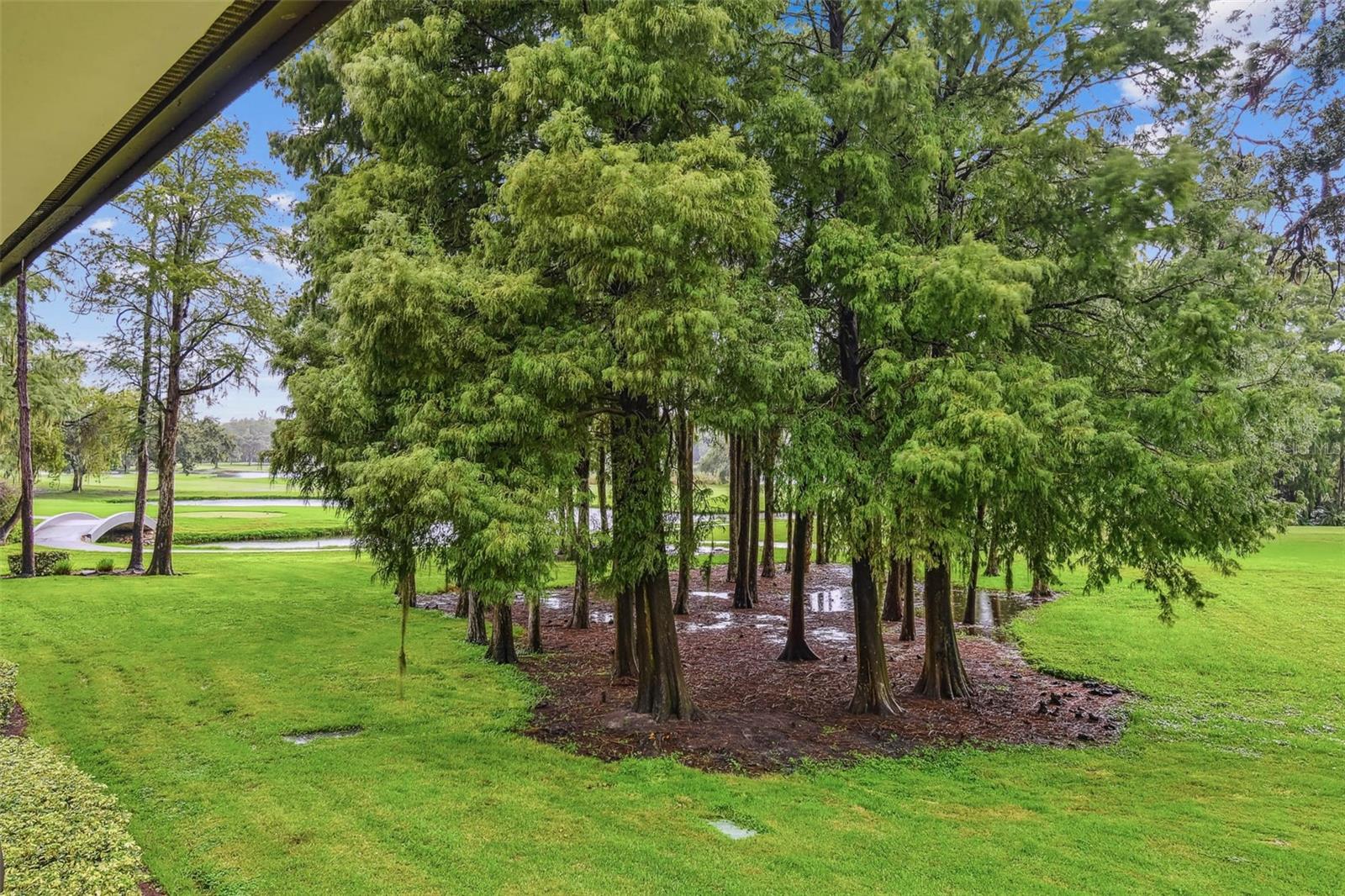 INNISBROOK 1 CONDO - Residential