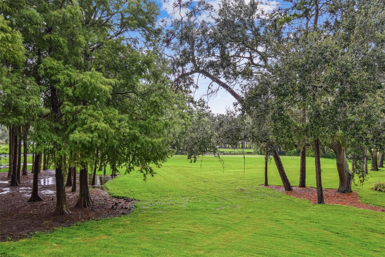 INNISBROOK 1 CONDO - Residential