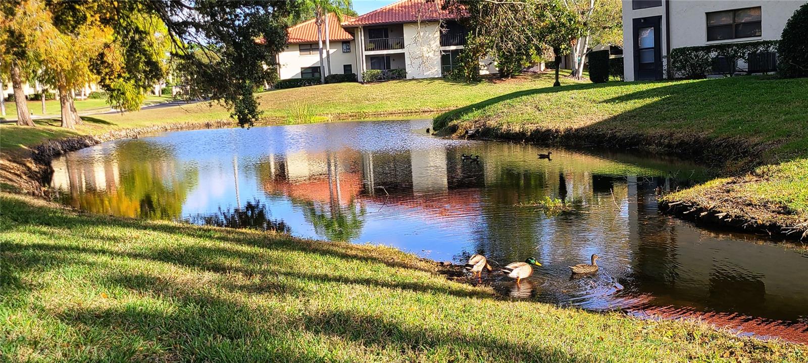 HAMMOCK PINE VILLAGE - Residential