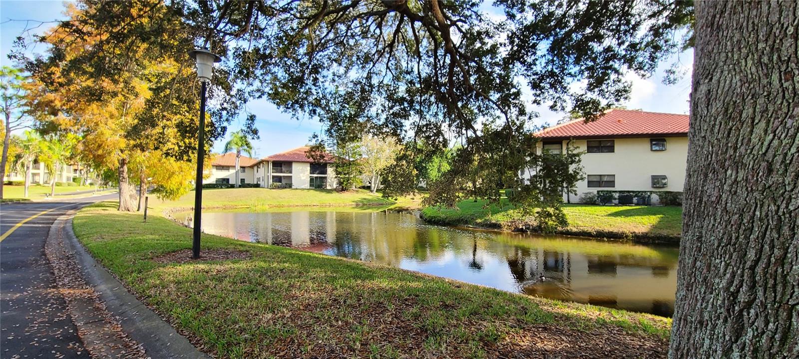 HAMMOCK PINE VILLAGE - Residential