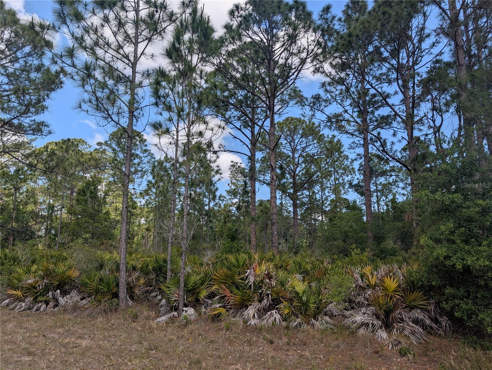 INDIAN LAKE ESTATES - Land