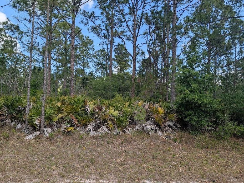Photo of 508 Orchid Drive, Indian Lake Estates, FL 33855 (MLS # P4938583)