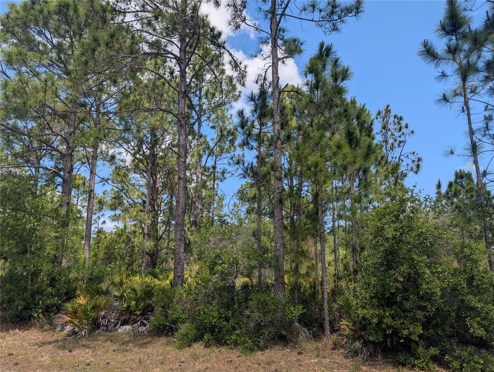 INDIAN LAKE ESTATES - Land