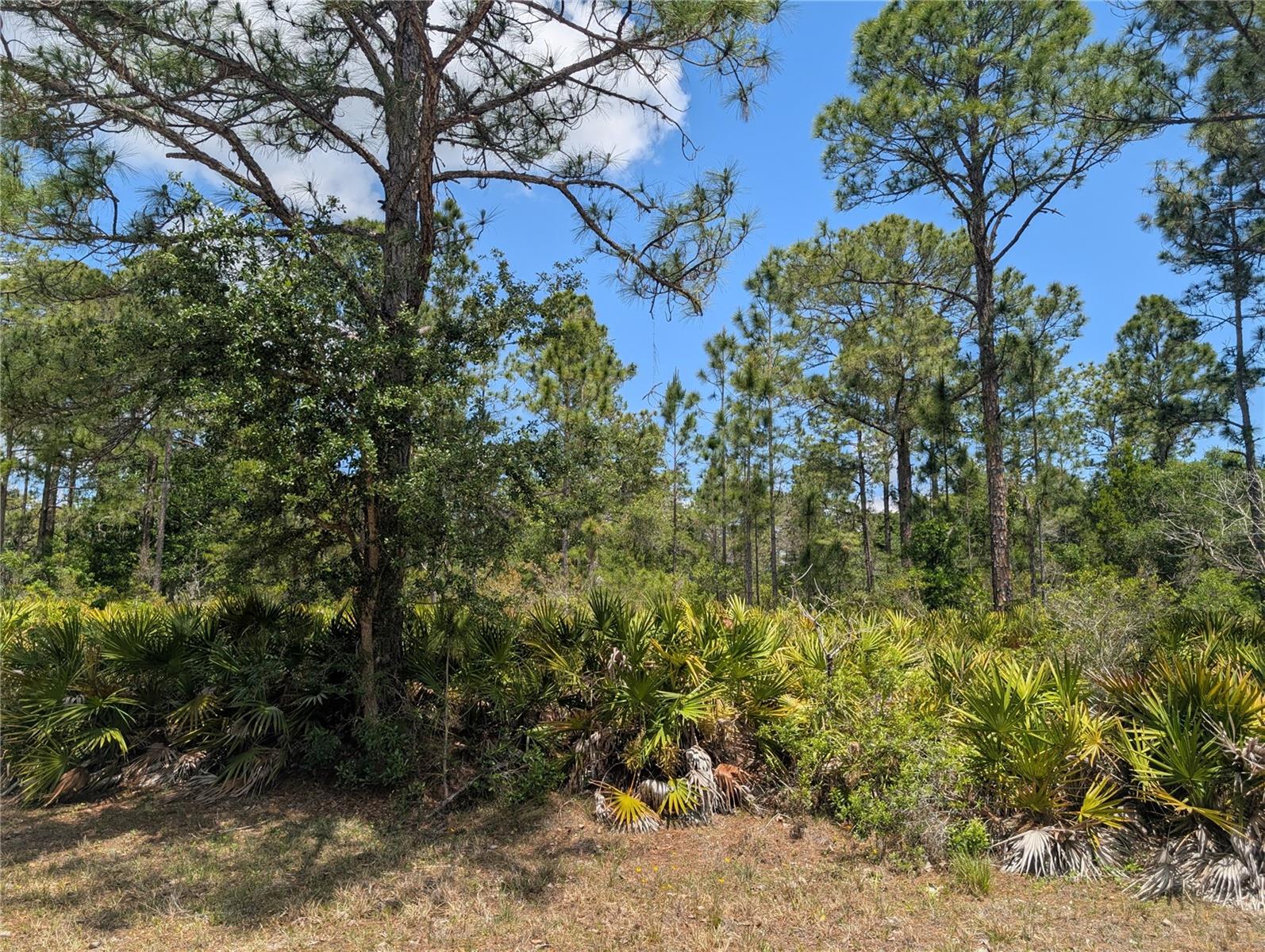 INDIAN LAKE ESTATES - Land