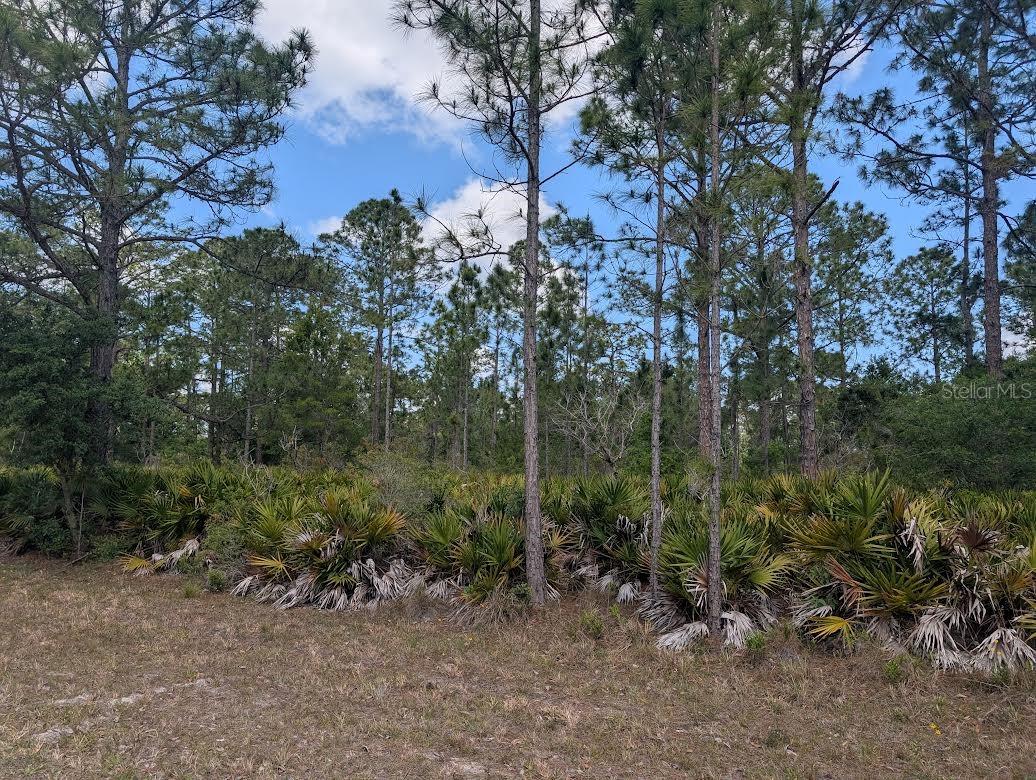 INDIAN LAKE ESTATES - Land