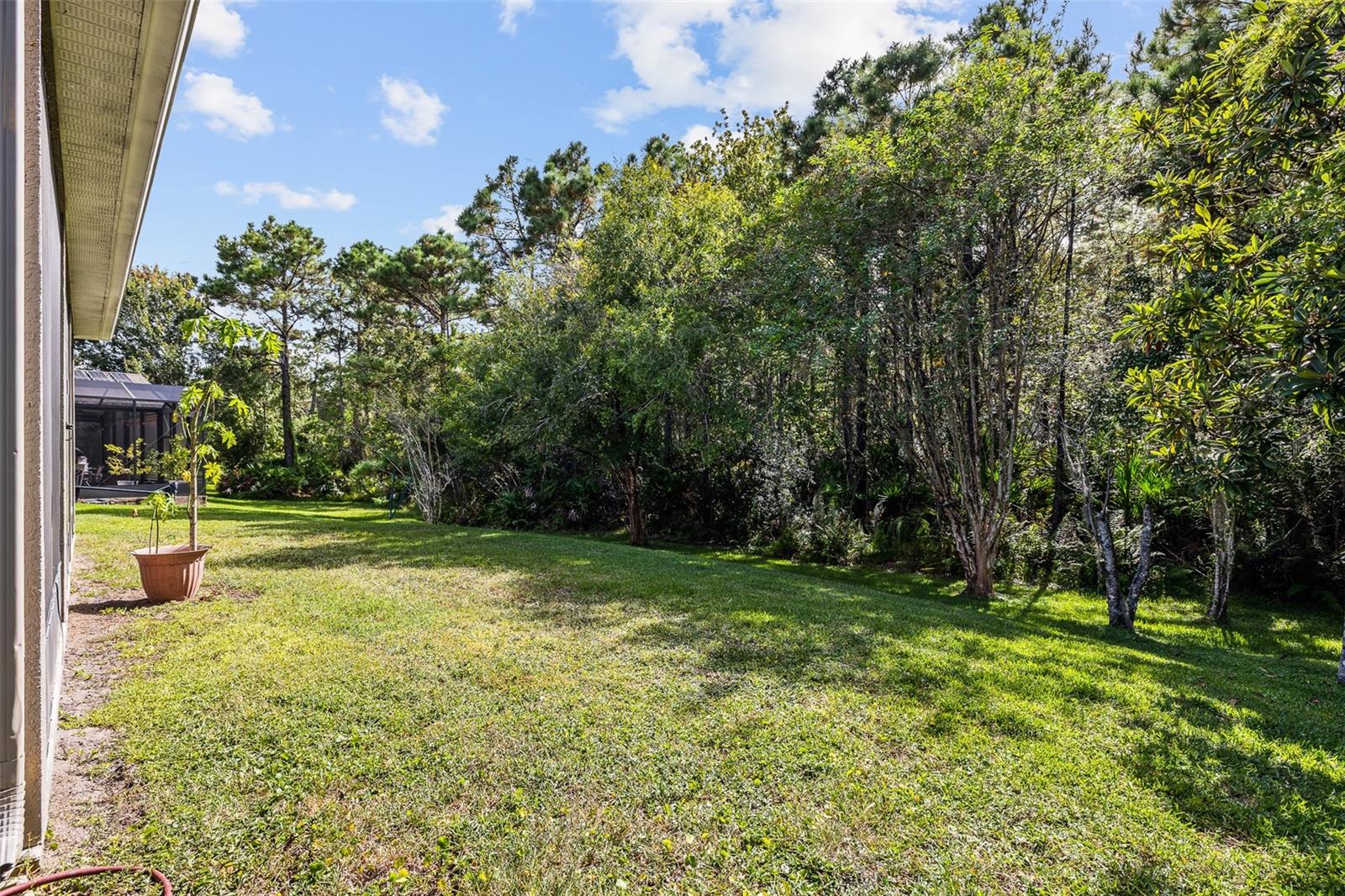 CYPRESS POINTE/CYPRESS SPGS SU - Residential