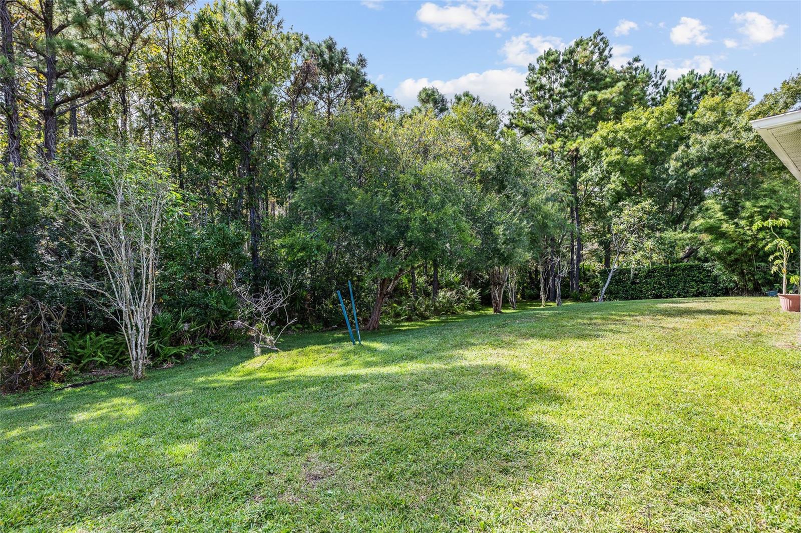 CYPRESS POINTE/CYPRESS SPGS SU - Residential