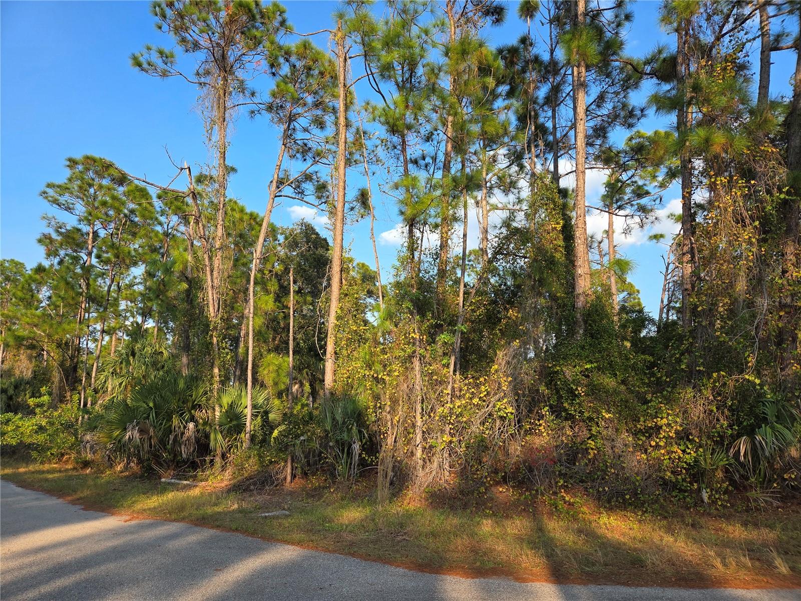 PORT CHARLOTTE SUB 23 - Land