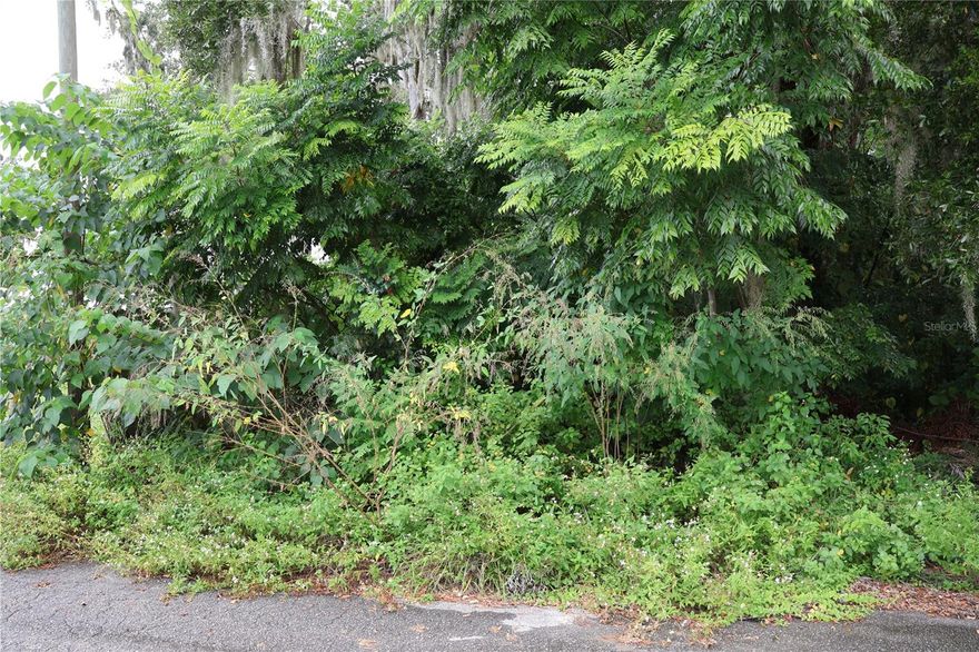B4 Zoning off of S Pine Ave. Wooded lot with paved road and part dirt road.