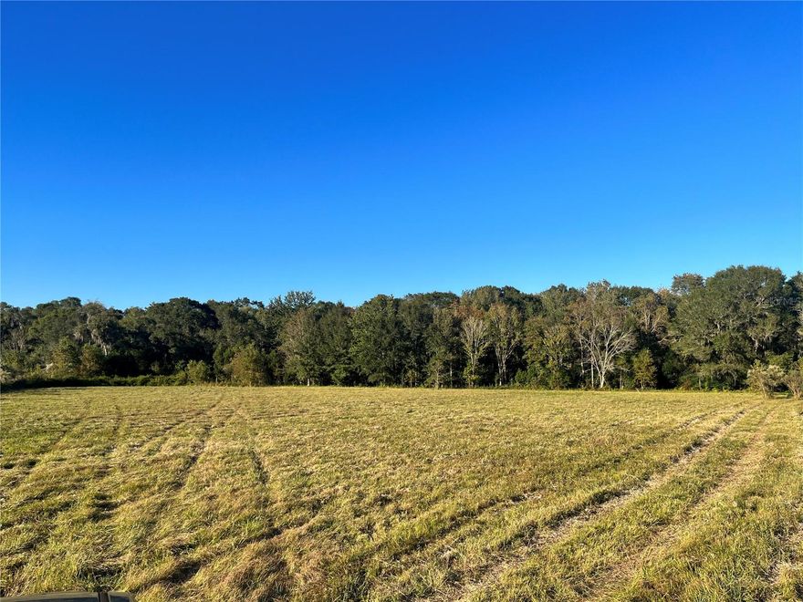This 10.23 acre parcel of vacant land has recently been surveyed to determine exact property boundaries. Includes 172 ft. of paved road frontage on County Road 225. Almost all Flood Zone X, which is the best flood zone rating you can have. New fence to be installed on west side of property as soon as survey is completed. Excellent pasture with wooded area at Northeast corner. Build your dream home, run cattle, bring the horses, row crop - plenty of opportunity here.