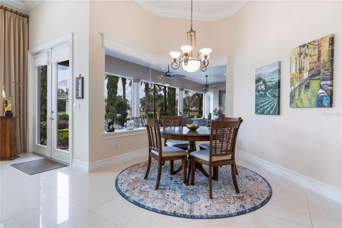 A home in MOUNT DORA