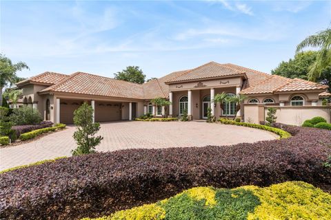 A home in MOUNT DORA