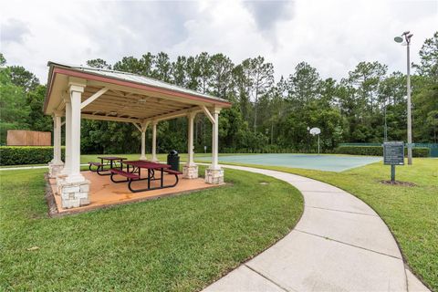 A home in MOUNT DORA