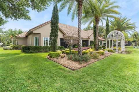 A home in MOUNT DORA