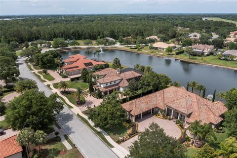 A home in MOUNT DORA