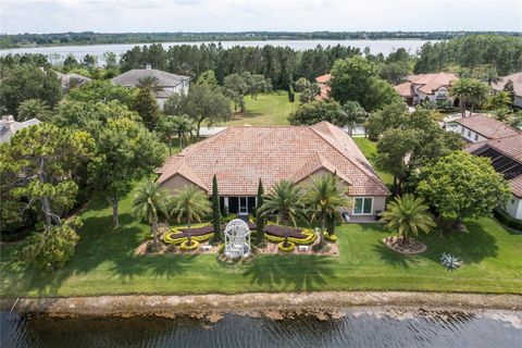 A home in MOUNT DORA