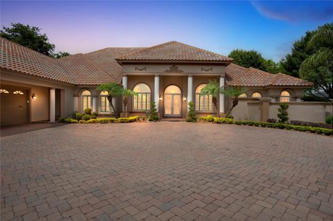 A home in MOUNT DORA