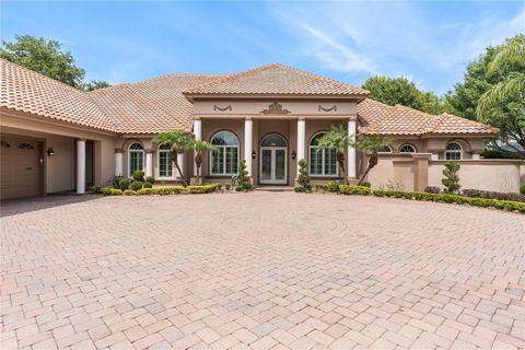 A home in MOUNT DORA