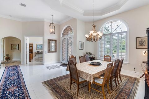 A home in MOUNT DORA