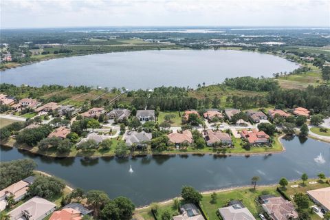 A home in MOUNT DORA