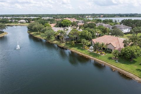 A home in MOUNT DORA