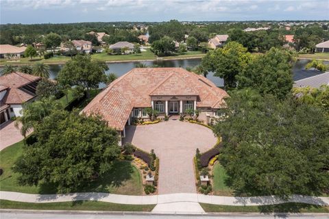 A home in MOUNT DORA