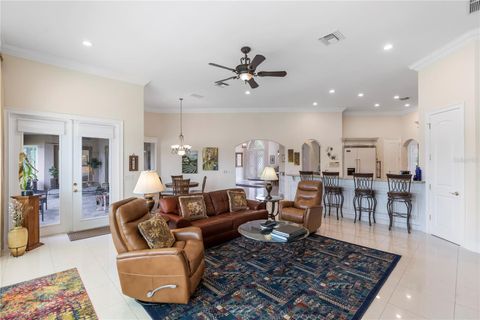 A home in MOUNT DORA