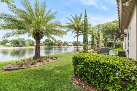 A home in MOUNT DORA