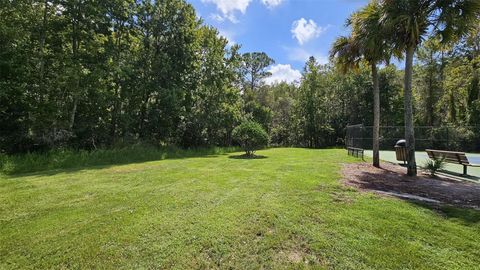 A home in ORLANDO