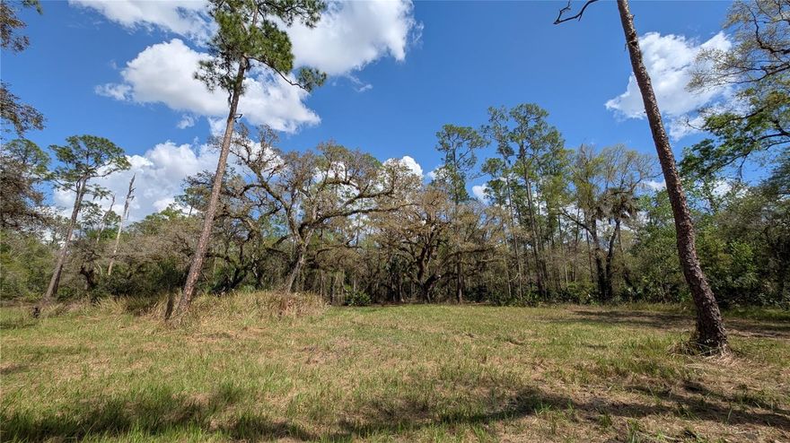A Hunter's Recreational Paradise!! This all wooded tract of land is located in the heart of Hardee County. 317 acres of the prettiest native Central Florida property you can find. The acreage consists of oak hammocks, cypress heads, and wetland sloughs with a mix of pines and palmettos. Several finger branch creeks that feed into the headwaters of Charlie Creek are scattered throughout. Combine this variety of landscape and the fact that there are neighboring citrus groves, and you get an oasis for deer, hogs and turkey. Getting into the property is quick and convenient with the access being at the end of county maintained Gillette Road. Once inside, trails and roads make it possible to cover most of the tract. Perfect for horseback or ATV riding. This piece of land offers an ABUNDANCE OF WILDLIFE as it has not been hunted much in recent years. Feeders and stands are in place throughout. The deer genetics in this specific area are as strong as you'll find around. There are numerous sites to plant food plots and build a camp. This parcel offers total seclusion and privacy while still being conveniently close to the amenities of town. Just a short drive to both Wauchula and Avon Park. Whether you're an avid hunter or outdoor enthusiast just looking to escape, this prime recreational piece of native Florida land does not disappoint!