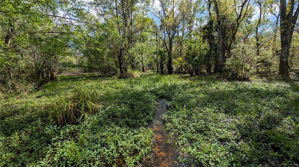 Photo of Gillette Road, Zolfo Springs, FL 33890 (MLS # P4938092)