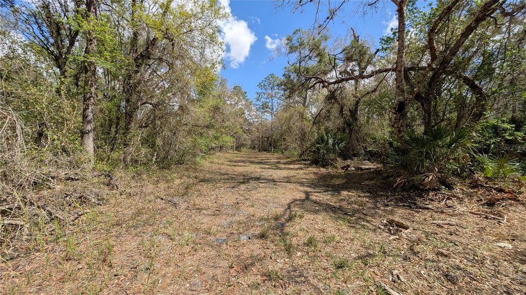 Photo of Gillette Road, Zolfo Springs, FL 33890 (MLS # P4938092)
