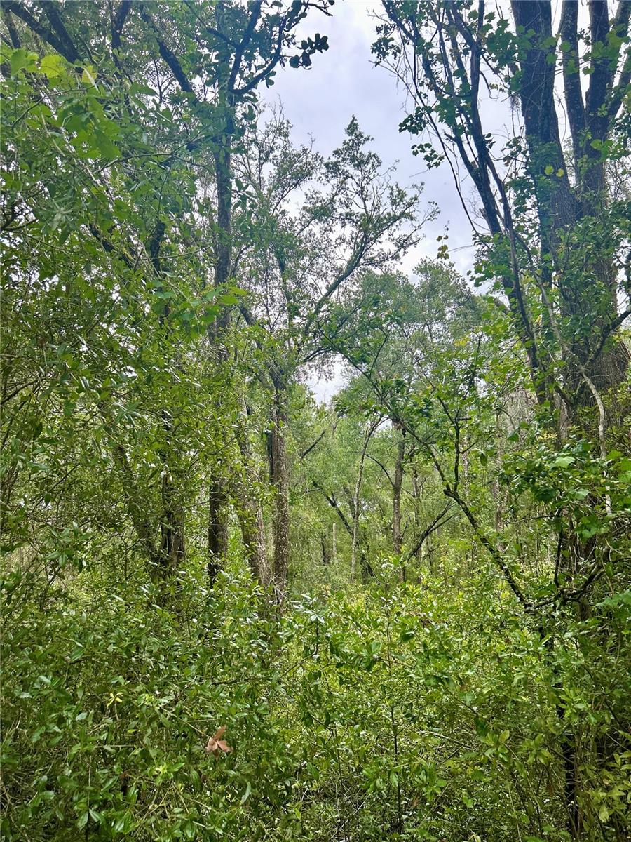 INVERNESS ACRES UNIT 02 AKA INVERNESS VILLAGE - Land